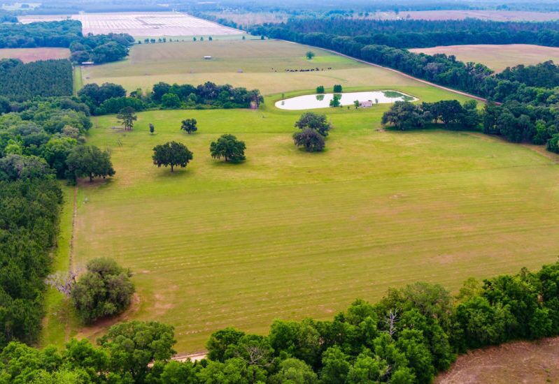 South Carolina Farms for Sale Live Water Properties Ranches for